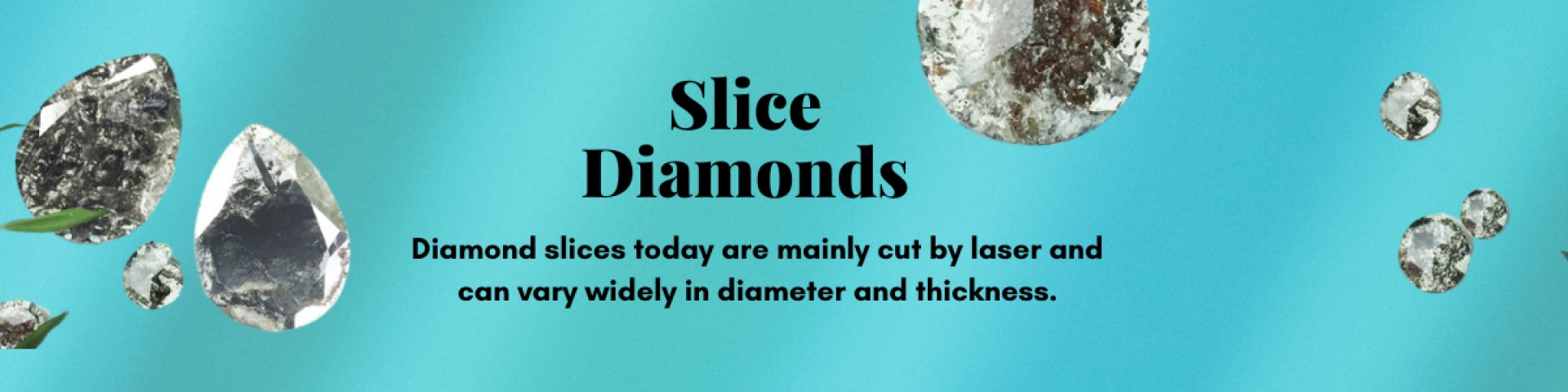 Slice
